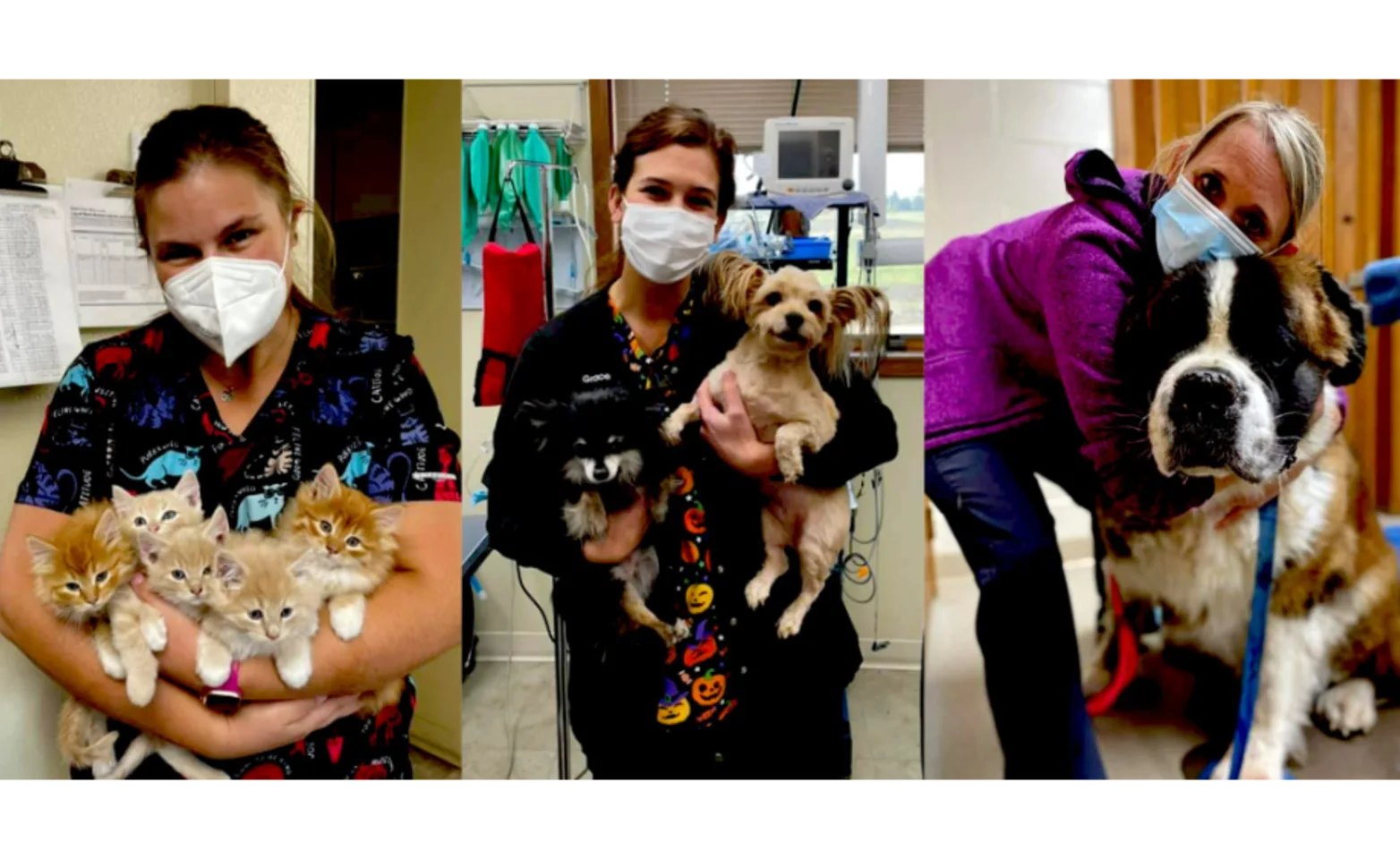 Three Staff Members Holding Cats & Dogs at Nicollet Veterinary Clinic